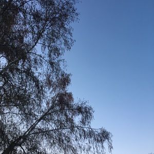 Meet your Posher, Ava